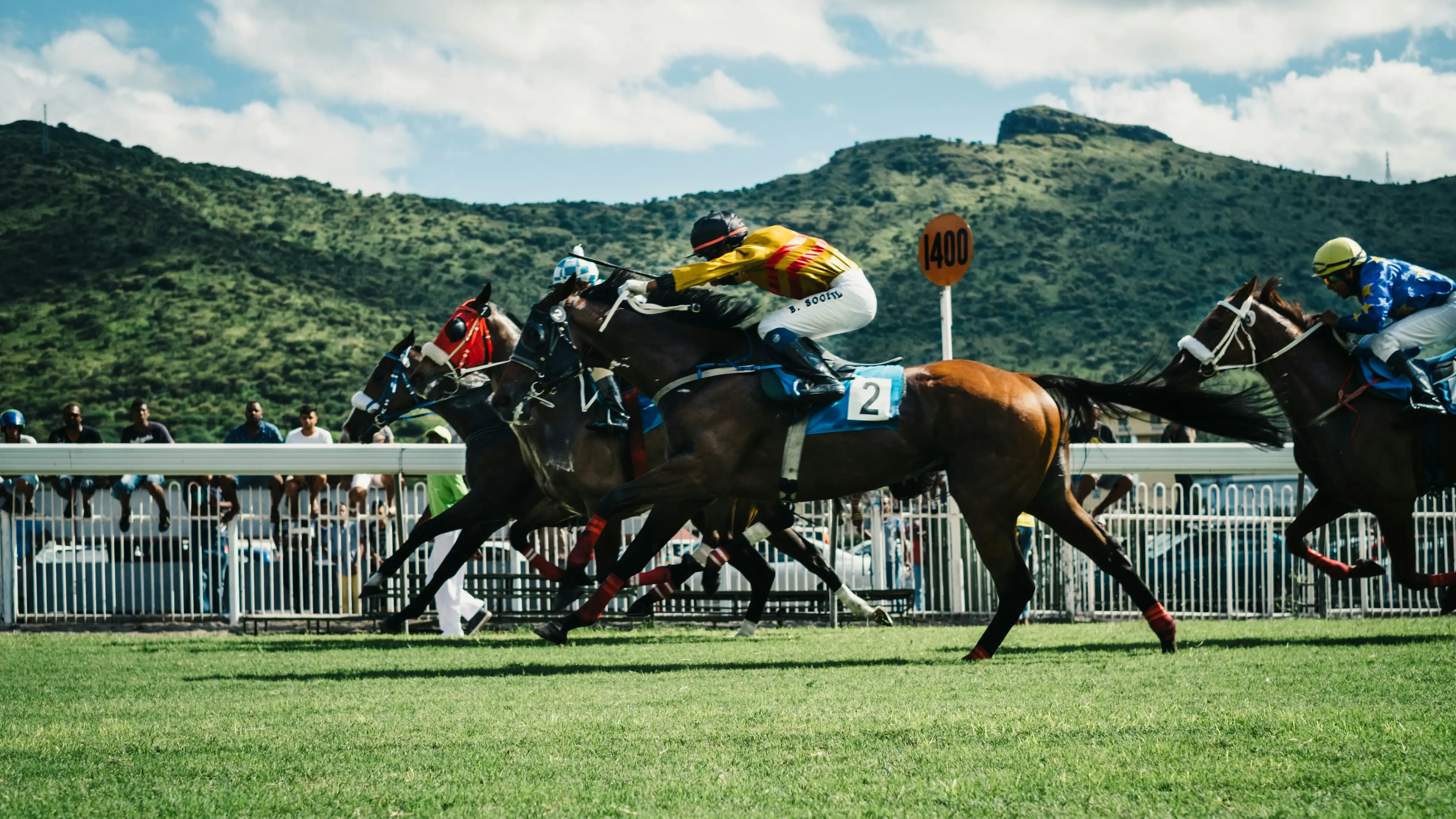 Day 1 | Champion Day at Cheltenham Racecourse